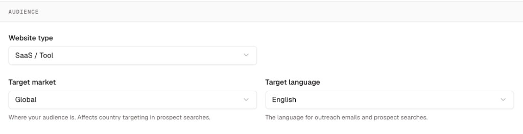 Website audience settings showing website type, target market, and target language